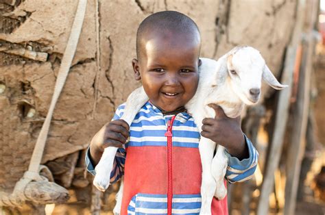 buy a goat for charity|donate farm animals charity.